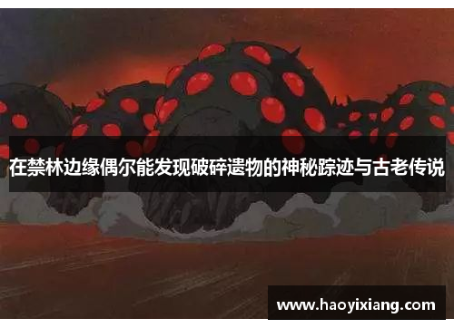 在禁林边缘偶尔能发现破碎遗物的神秘踪迹与古老传说