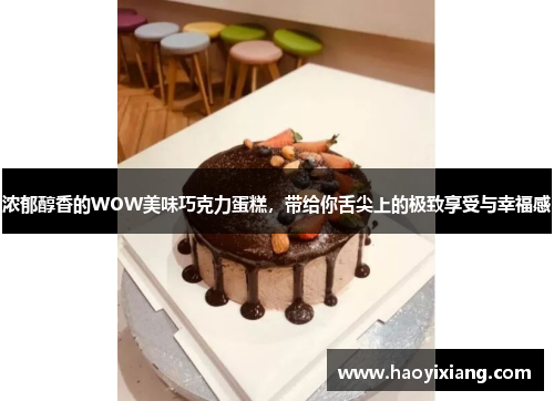 浓郁醇香的WOW美味巧克力蛋糕，带给你舌尖上的极致享受与幸福感